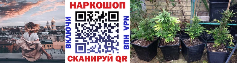 Цена Алдан Гашиш Alpha PVP Меф Бошки Шишки